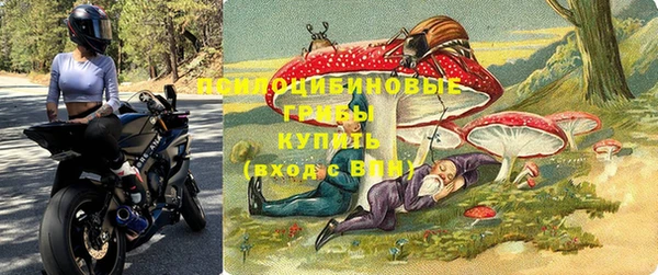 трава Инта