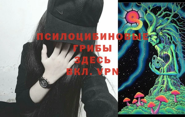 прущий лед Зеленодольск