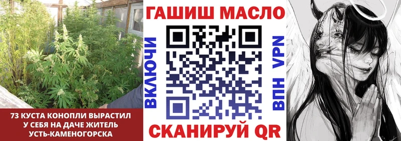 Купить где  Белокуриха  Дистиллят ТГК Wax 