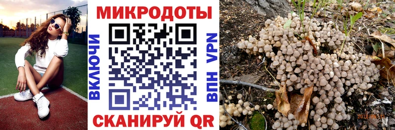 Псилоцибиновые грибы мицелий  Купить где  Белокуриха 
